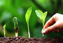 現(xiàn)代果園管理中高智能土壤養(yǎng)分檢測儀的作用！