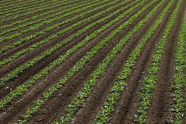 肥料養分檢測儀 肥料養分檢測儀