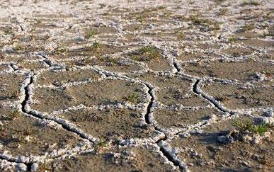 土壤肥料養分檢測儀 土壤肥料養分檢測儀