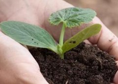 土壤養(yǎng)分分析儀解決“分配不均”問題