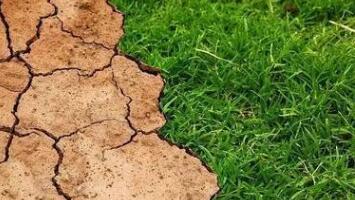 土壤重金屬檢測(cè)儀 土壤重金屬檢測(cè)儀