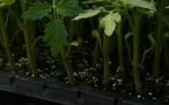 測土配方施肥儀幫助農(nóng)民實現(xiàn)“精準施肥”