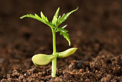 土壤養(yǎng)分分析儀 土壤養(yǎng)分分析儀