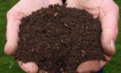 測(cè)土配方施肥儀助力有機(jī)農(nóng)業(yè)的發(fā)展