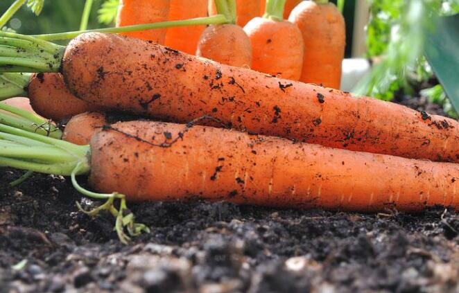 1614674846818381.jpg 1614674846818381.jpg