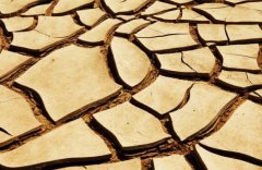 土壤水分檢測(cè)儀促進(jìn)節(jié)水農(nóng)業(yè)發(fā)展