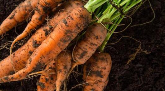 1615367636904326.jpg 1615367636904326.jpg