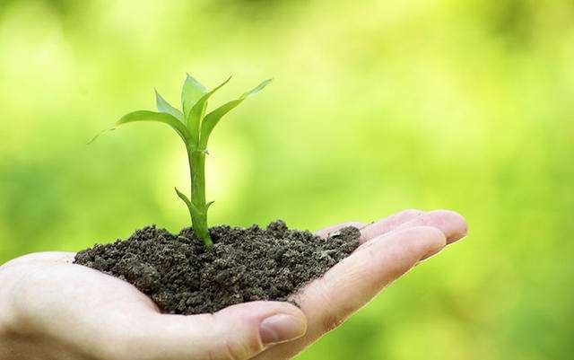 土壤養(yǎng)分測定儀 土壤養(yǎng)分測定儀